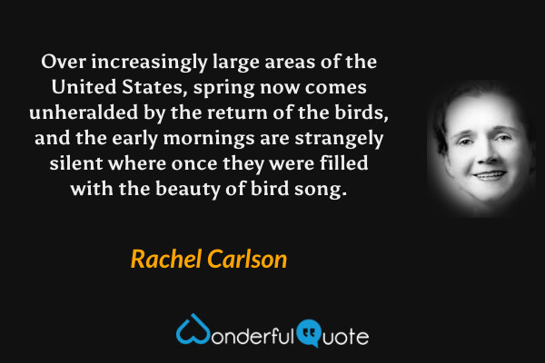 Over increasingly large areas of the United States, spring now comes unheralded by the return of the birds, and the early mornings are strangely silent where once they were filled with the beauty of bird song. - Rachel Carlson quote.