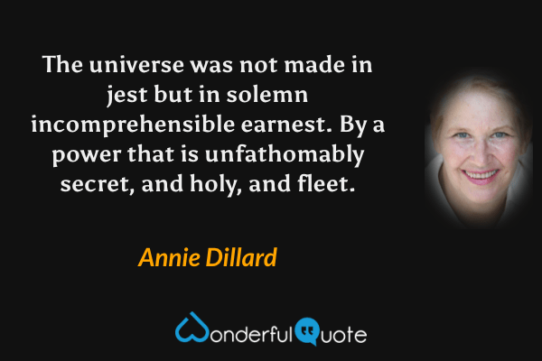 The universe was not made in jest but in solemn incomprehensible earnest.  By a power that is unfathomably secret, and holy, and fleet. - Annie Dillard quote.