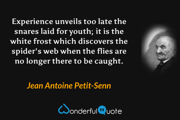 Experience unveils too late the snares laid for youth; it is the white frost which discovers the spider's web when the flies are no longer there to be caught. - Jean Antoine Petit-Senn quote.
