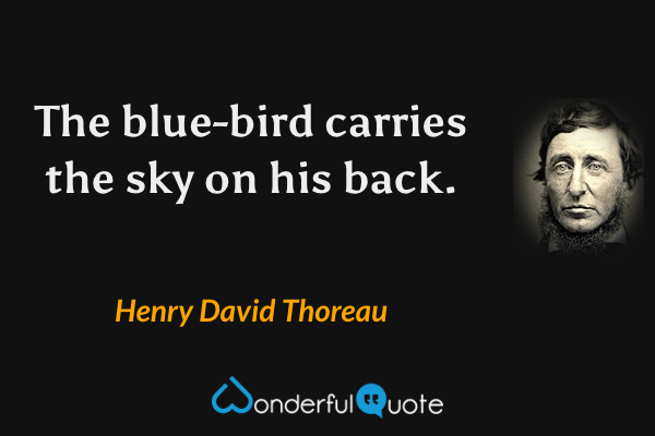 The blue-bird carries the sky on his back. - Henry David Thoreau quote.
