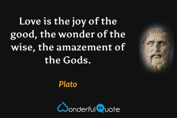 Love is the joy of the good, the wonder of the wise, the amazement of the Gods. - Plato quote.