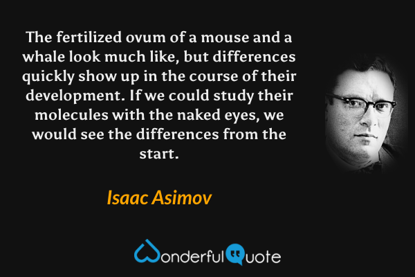 The fertilized ovum of a mouse and a whale look much like, but differences quickly show up in the course of their development. If we could study their molecules with the naked eyes, we would see the differences from the start. - Isaac Asimov quote.