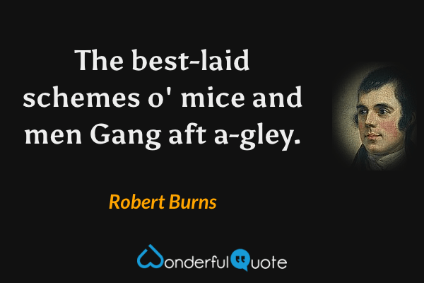 The best-laid schemes o' mice and men
Gang aft a-gley. - Robert Burns quote.