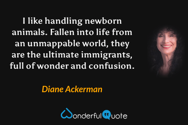 I like handling newborn animals.  Fallen into life from an unmappable world, they are the ultimate immigrants, full of wonder and confusion. - Diane Ackerman quote.