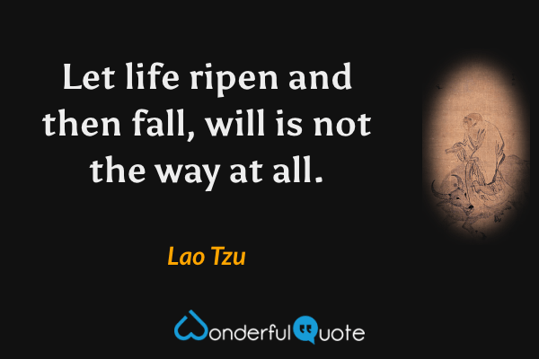Let life ripen and then fall, will is not the way at all. - Lao Tzu quote.