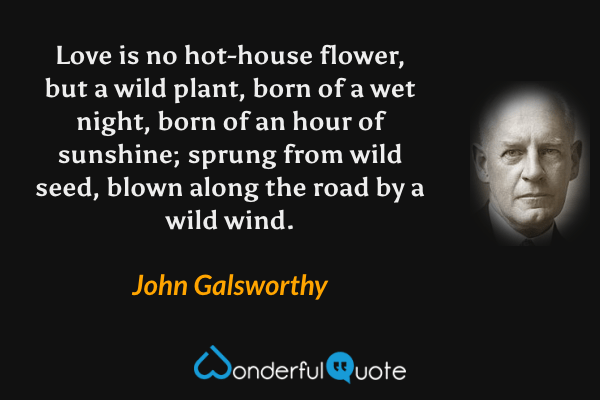 Love is no hot-house flower, but a wild plant, born of a wet night, born of an hour of sunshine; sprung from wild seed, blown along the road by a wild wind. - John Galsworthy quote.