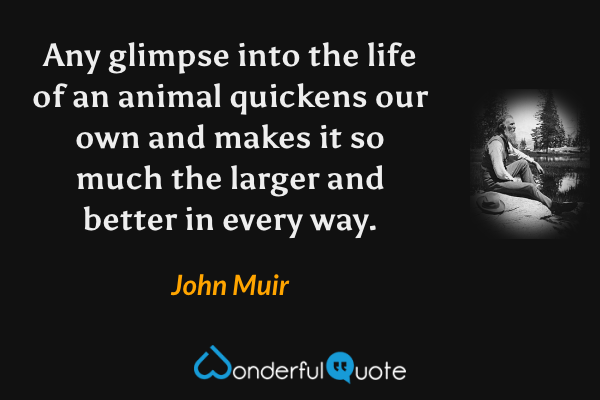 Any glimpse into the life of an animal quickens our own and makes it so much the larger and better in every way. - John Muir quote.
