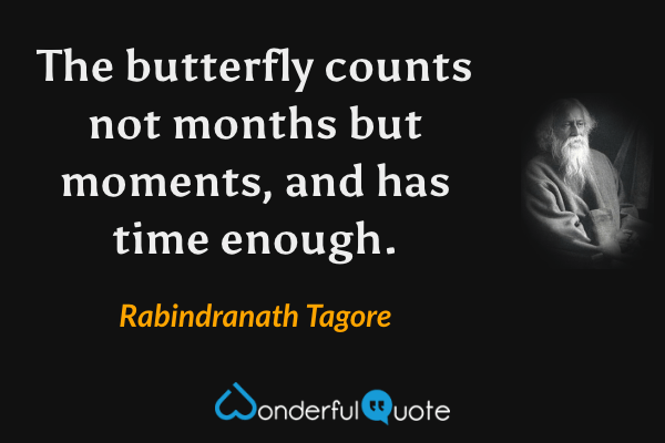 The butterfly counts not months but moments, and has time enough. - Rabindranath Tagore quote.