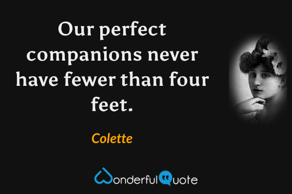 Our perfect companions never have fewer than four feet. - Colette quote.
