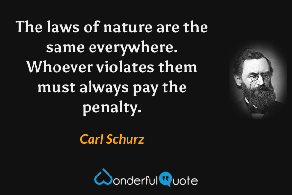 The laws of nature are the same everywhere. Whoever violates them must always pay the penalty. - Carl Schurz quote.