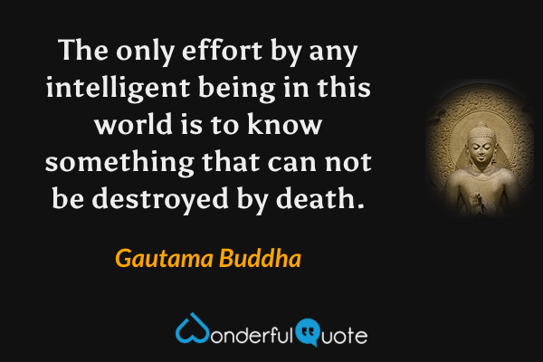 The only effort by any intelligent being in this world is to know something that can not be destroyed by death. - Gautama Buddha quote.