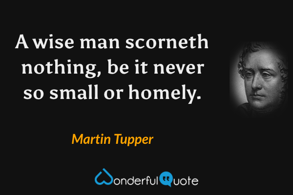 A wise man scorneth nothing, be it never so small or homely. - Martin Tupper quote.