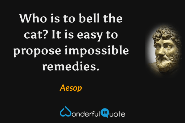 Who is to bell the cat? It is easy to propose impossible remedies. - Aesop quote.