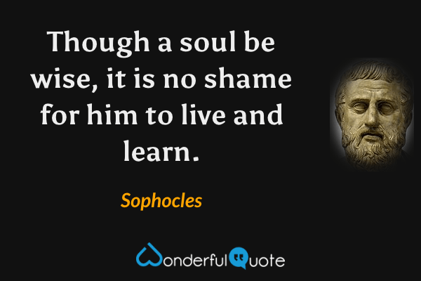 Though a soul be wise, it is no shame for him to live and learn. - Sophocles quote.