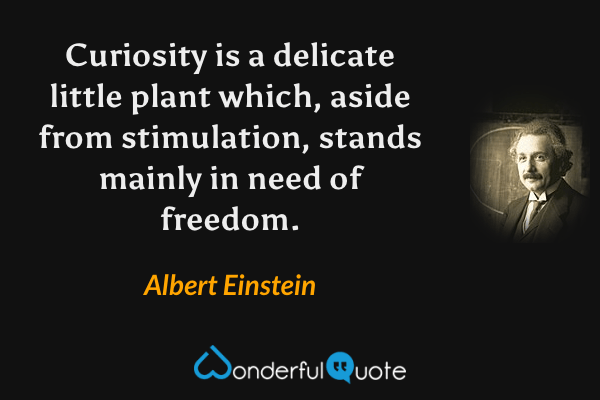 Curiosity is a delicate little plant which, aside from stimulation, stands mainly in need of freedom. - Albert Einstein quote.