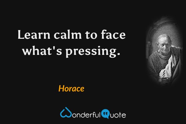Learn calm to face what's pressing. - Horace quote.