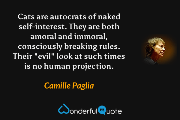 Cats are autocrats of naked self-interest.  They are both amoral and immoral, consciously breaking rules.  Their "evil" look at such times is no human projection. - Camille Paglia quote.