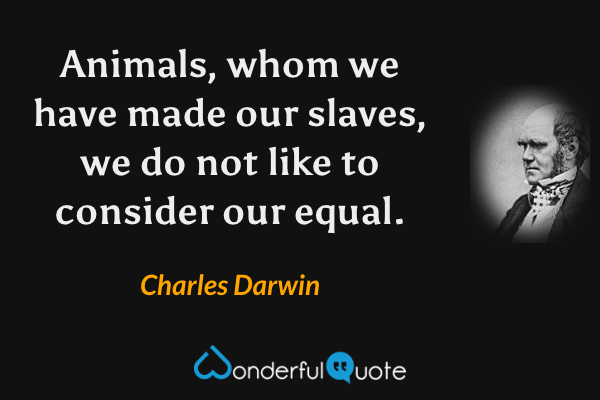 Animals, whom we have made our slaves, we do not like to consider our equal. - Charles Darwin quote.