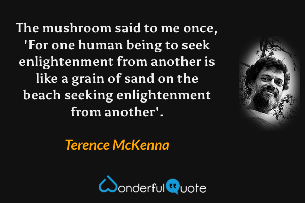 The mushroom said to me once, 'For one human being to seek enlightenment from another is like a grain of sand on the beach seeking enlightenment from another'. - Terence McKenna quote.