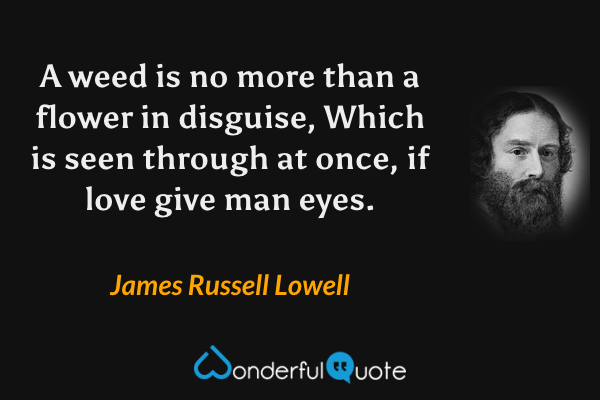 A weed is no more than a flower in disguise,
Which is seen through at once, if love give man eyes. - James Russell Lowell quote.