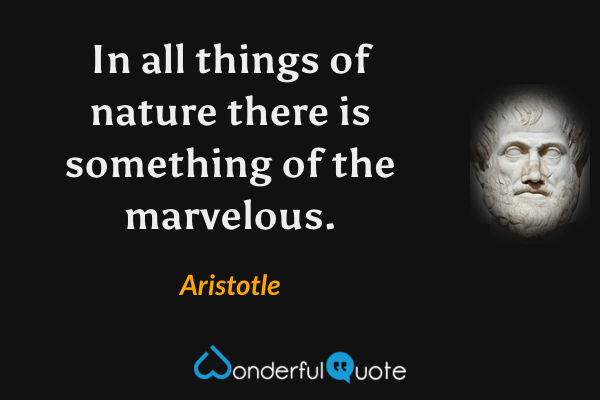 In all things of nature there is something of the marvelous. - Aristotle quote.
