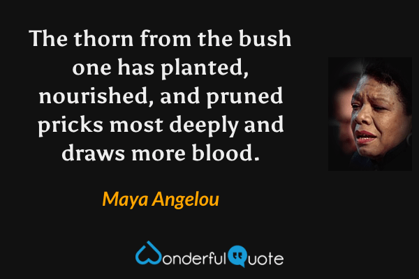 The thorn from the bush one has planted, nourished, and pruned pricks most deeply and draws more blood. - Maya Angelou quote.