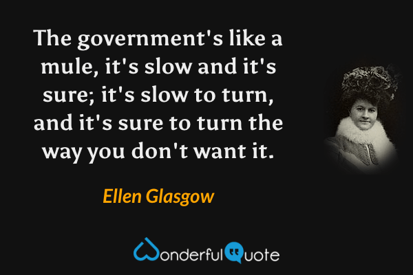 The government's like a mule, it's slow and it's sure; it's slow to turn, and it's sure to turn the way you don't want it. - Ellen Glasgow quote.