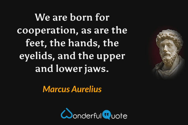 We are born for cooperation, as are the feet, the hands, the eyelids, and the upper and lower jaws. - Marcus Aurelius quote.