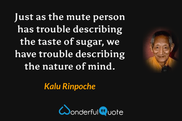 Just as the mute person has trouble describing the taste of sugar, we have trouble describing the nature of mind. - Kalu Rinpoche quote.